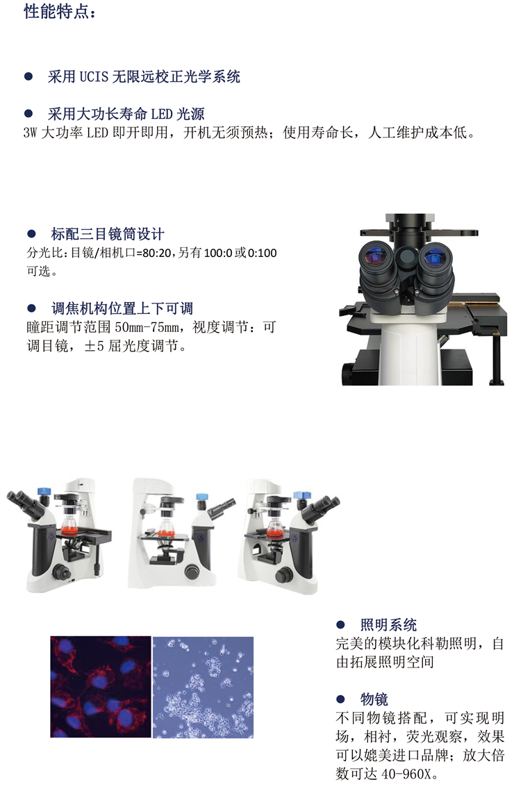 明慧倒置荧光显微镜 MHIF2000