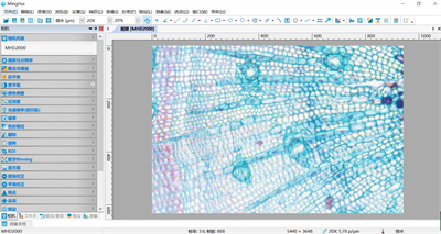 显微镜相机MHD2000成像图
