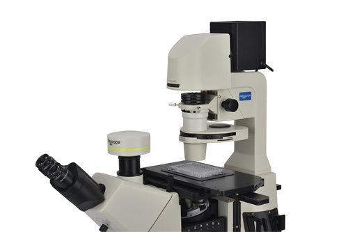 耐可视倒置荧光显微镜NIB910-FL-广州市明慧科技有限公司