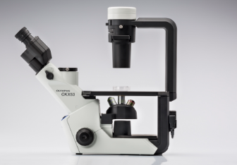 奥林巴斯倒置生物显微镜ckx53（1）