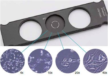 奥林巴斯倒置生物显微镜ckx53（2）