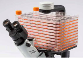 奥林巴斯倒置生物显微镜ckx53（4）