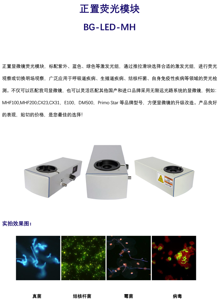 正置双色荧光模块-多色荧光模块-广州明慧科技