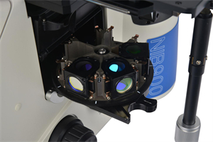 生物学荧光显微镜NIB900-明慧科技