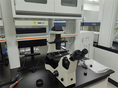 NIB610倒置显微镜应用于细胞培养观察 广州市明慧科技有限公司案例