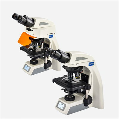 正置生物实验显微镜NE610/NE620
