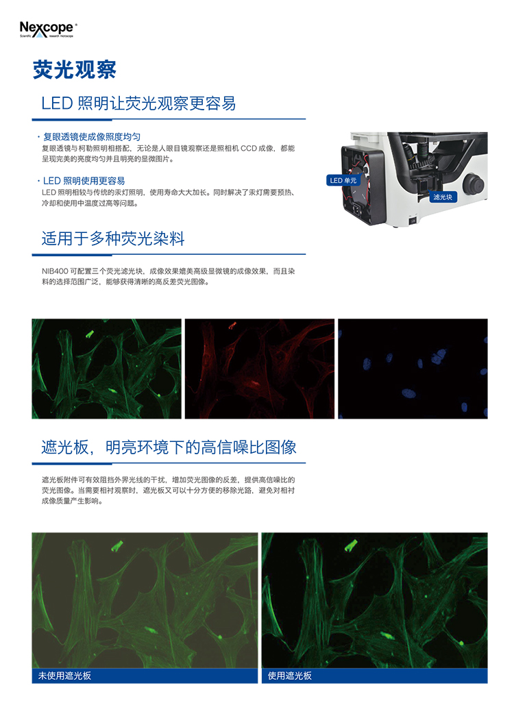 倒置生物显微镜NIB400荧光观察,广州明慧