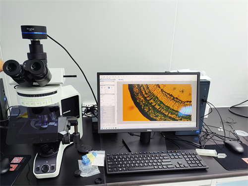 明慧高清荧光显微镜摄像头MHS900匹配奥林巴斯显微镜