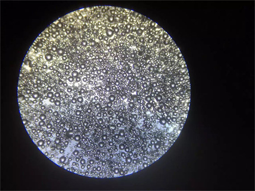 粉煤灰观察玻璃微珠显微镜MHPL1500