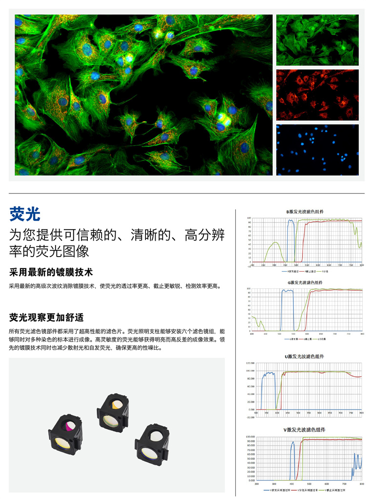广州明慧耐可视倒置显微镜NIB910-广东显微镜