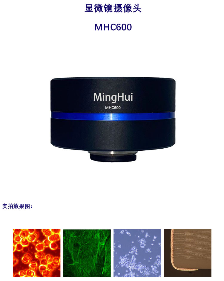 显微镜相机CCD相机 MHC600-显微镜荧光相机-广州明慧