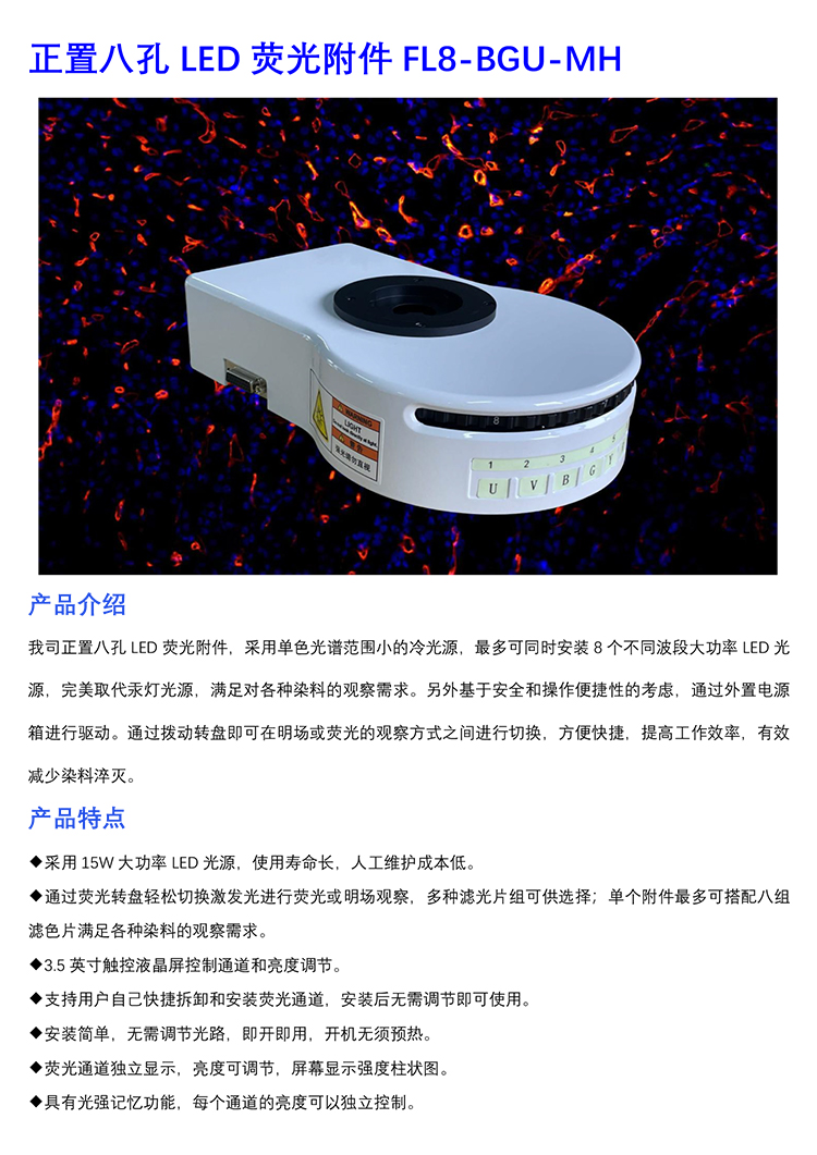 正置八孔LED荧光附件FL8-BGU-MH-广州市明慧科技有限公司
