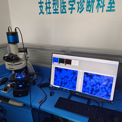 FISH医学影像工作站