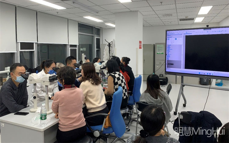 明慧显微镜摄像头MHD2000助力病理学研究：从感染性疾病到肿瘤精准诊断的突破-广州明慧