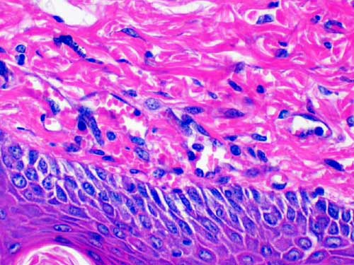 c6d44f36-3361-4390-a1e2-551c786ae1ef