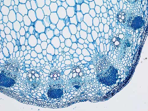 22f30db6-6e11-4c2a-ac30-a3f6101b0e0f