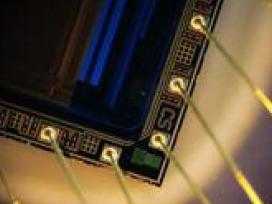 正置金相-暗场-实拍效果图(1)