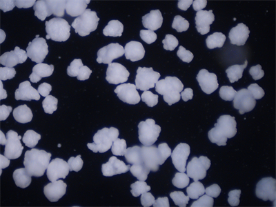 微信图片_202204081426372