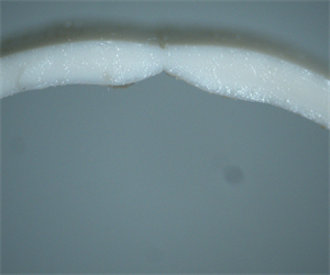 微信图片_202204081426373