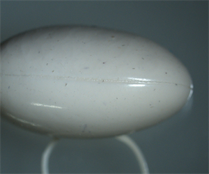 微信图片_202204081426374