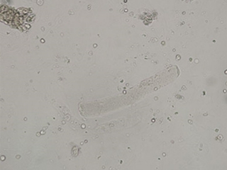 生物显微镜3 - 副本