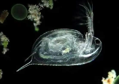 NSZ7系列适用场景效果图1