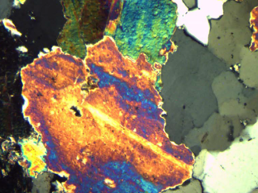 NSZ7系列适用场景效果图-偏光