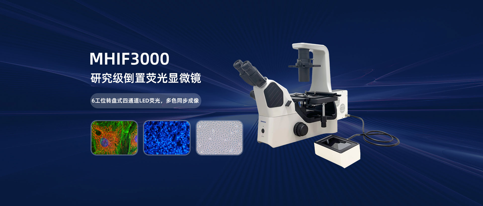 MHIF3000研究级倒置荧光显微镜