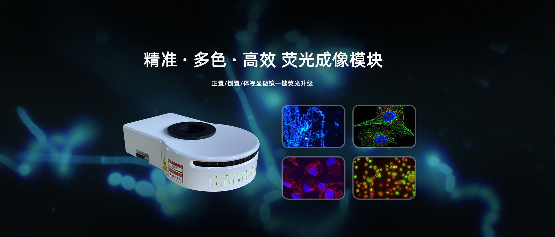 精准·多色·高效 荧光成像模块