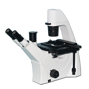 倒置生物显微镜MHIL150助力中山大学观察精原细胞