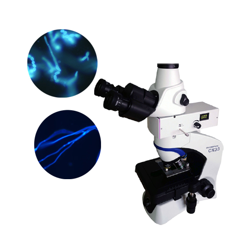 正置单双色荧光模块适配品牌2