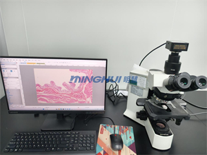 数码显微镜相机厂家-明慧显微镜相机MHD2100-应用案例