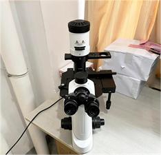 MHIL-200倒置生物显微镜应用于精子观察