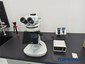 体视荧光显微镜MHZF700应用于果蝇荧光研究1.jpg