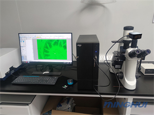 倒置荧光显微镜MHIF2000和MHD2000高清相机助力华南理工大学应用细胞切片研究.jpg