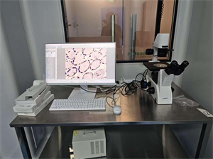 生物显微镜MHL2800和细胞工厂显微镜MH-3CF应用于生物细胞培养观察2