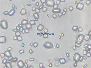 显微镜相机MHD1200用于蛋白晶体动态与静态拍摄研究