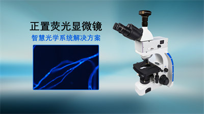 2.正置荧光显微镜UB显微镜和图片效果图.jpg