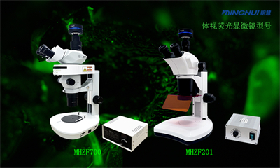 3.明慧体视荧光显微镜型号.jpg