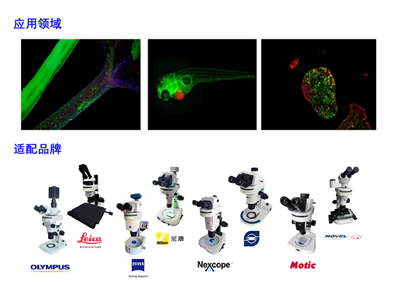 3.体视LED荧光附件BGU-LED-ZMH 应用实拍和适配型号.jpg