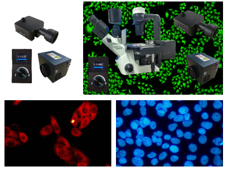 BGU-LED-6IMH CKX53专属倒置六孔LED荧光附件 BGU-LED-6IMH CKX53专属倒置六孔LED荧光附件