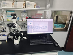 MHL2800生物显微镜和MHD2000高清显微镜摄像头用于红色短杆菌检测