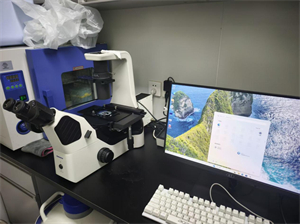 明慧倒置荧光显微镜MHIF3000和MHS900成像相机助力广州高校细胞生物学研究 (1).jpg