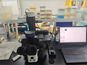 明慧倒置荧光显微镜MHIF2500应用于深圳某知名生物企业助力细胞研究1